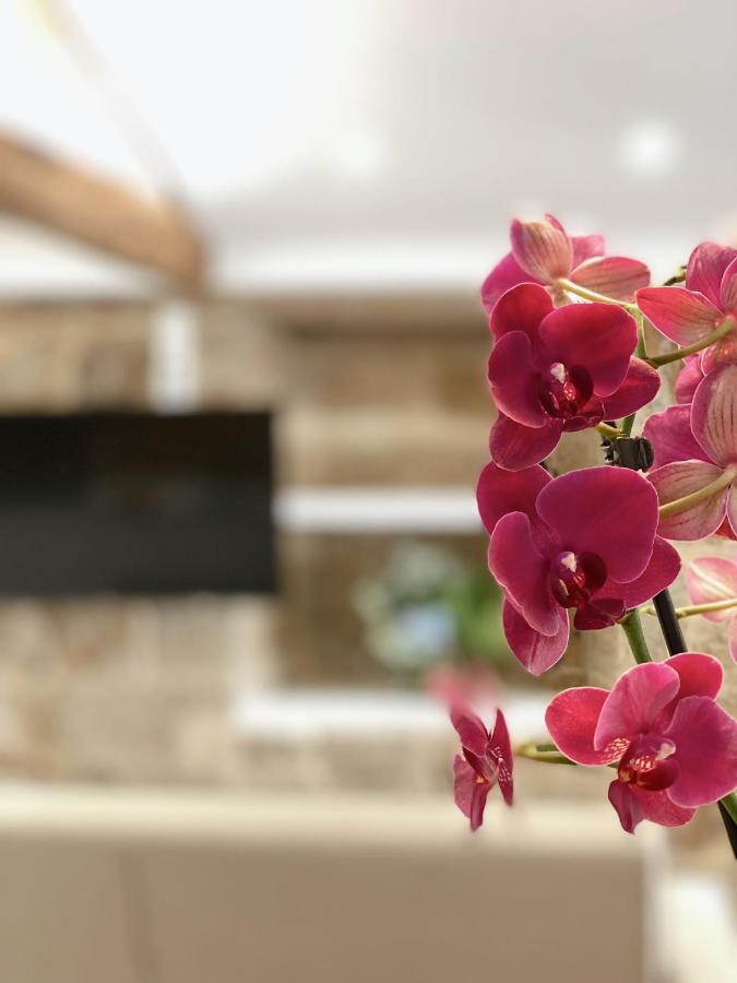 Celanova House Екстериор снимка